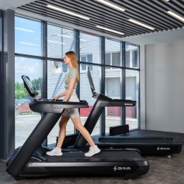 Беговая дорожка SHUA SH-T8919T (15,6" экран)