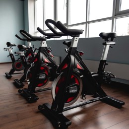 Спин-байк SHUA SHB8860S