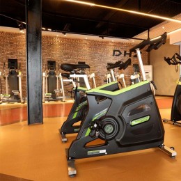 Сайкл DHZ X-959