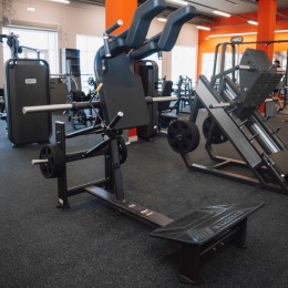 Приседание DHZ E7065