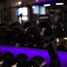 Гантельный ряд JAGUAR-SPORT POWER 2,5 кг - 25 кг (10 пар), шаг 2,5 кг