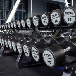 Гантельный ряд полиуретановый LEVEL (шаг 2,5 кг, 10 пар) PROFI-FIT 2,5-25 кг