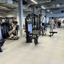 Трицепс-машина Insight Fitness TF06