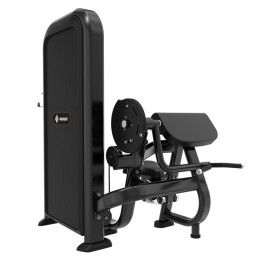 Бицепс-машина Insight Fitness TY05