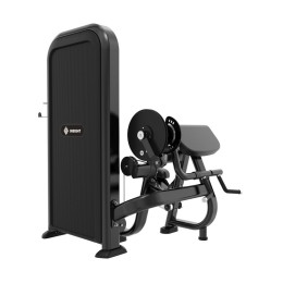 Бицепс/трицепс-машина Insight Fitness TY26