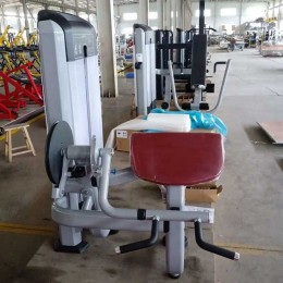 Бицепс/трицепс-машина Insight Fitness TF26