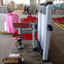 Бицепс/трицепс-машина Insight Fitness TF26