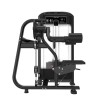 Дельт-машина Insight Fitness TF07