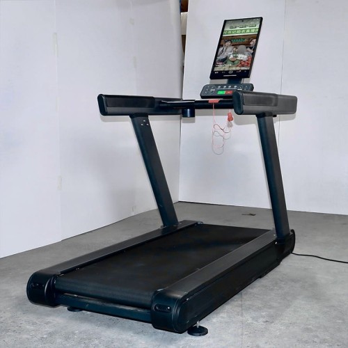 Беговая дорожка Gymmaster LZX-L20T