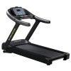 Беговая дорожка Gymmaster AC5000