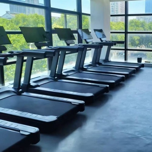 Беговая дорожка Gymmaster LZX-L30T