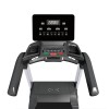 Беговая дорожка Gymmaster GT6