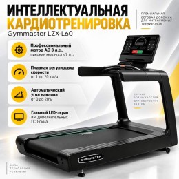 Беговая дорожка Gymmaster LZX-L60
