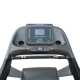 Беговая дорожка Gymmaster AC5000