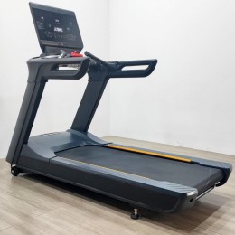 Беговая дорожка Gymmaster FT-T919