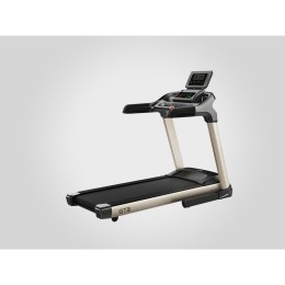 Беговая дорожка Gymmaster GT3D