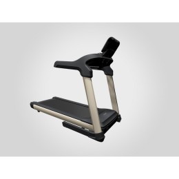 Беговая дорожка Gymmaster GT3D