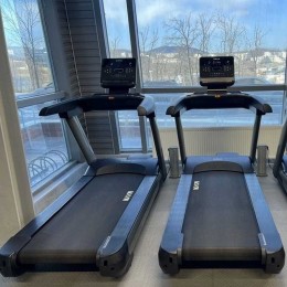 Беговая дорожка SHUA SH-T8919