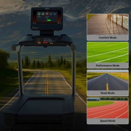 Беговая дорожка SHUA SH-T9100T