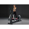 Эллиптический тренажер Vertex E-22R.1 Alpha Swing