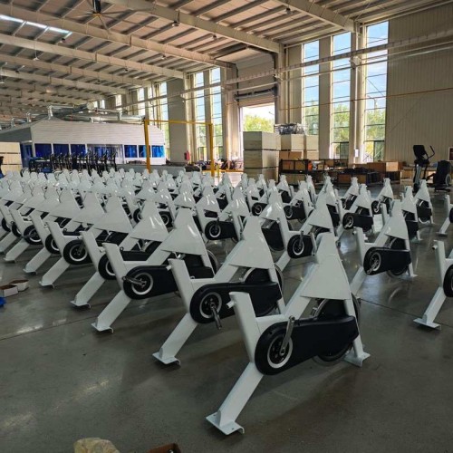 Сайкл Insight Fitness XB-60