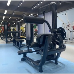 Разгибание спины Insight Fitness TF11