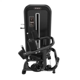 Торс-машина Insight Fitness TY12