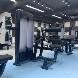 Разгибание спины Insight Fitness TF11