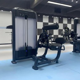 Разгибание спины Insight Fitness TF11