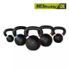 Гиря железная с цветными кольцами MD Buddy MD2219 24 кг