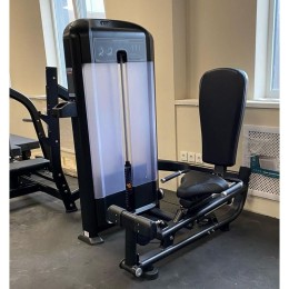 Голень сидя Insight Fitness TF17