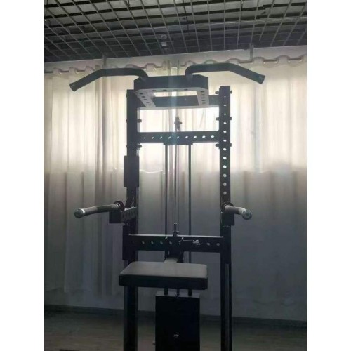 Гравитрон Gymmaster EK113