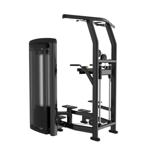 Гравитрон Insight Fitness BH10
