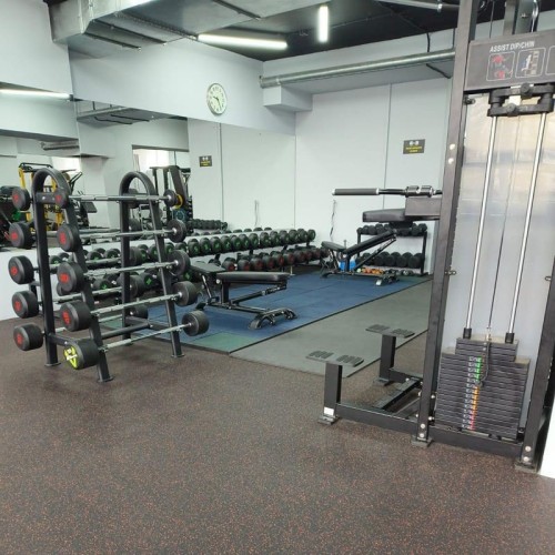 Гравитрон Insight Fitness HS11