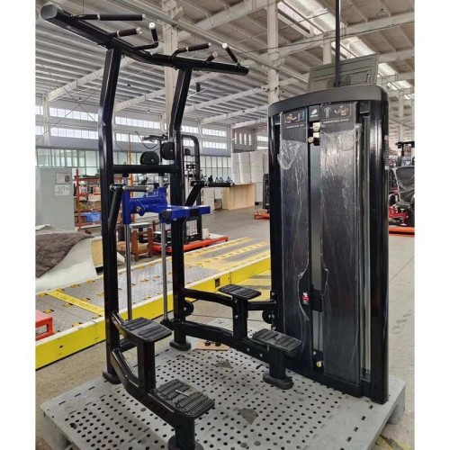 Гравитрон Insight Fitness BH10