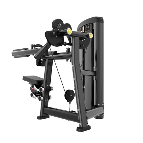 Дельт-машина Insight Fitness BH04