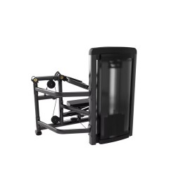 Мультижим Insight Fitness BH30