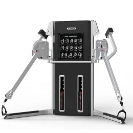 Функциональная станция Insight Fitness DZ82