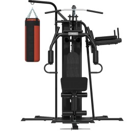 Мультистанция 3-х позиционная Gymmaster  FC6015