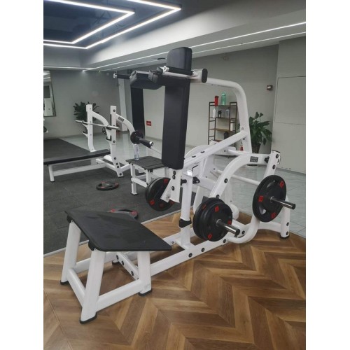 Гакк-присед Insight Fitness TN71