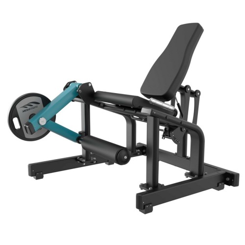 Разгибание ног сидя Gymmaster LAS-11