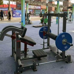 Ягодичный мостик 3D Gymmaster MP-8148