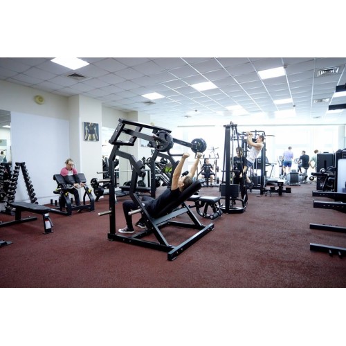 Жим от плеч Insight Fitness TM21