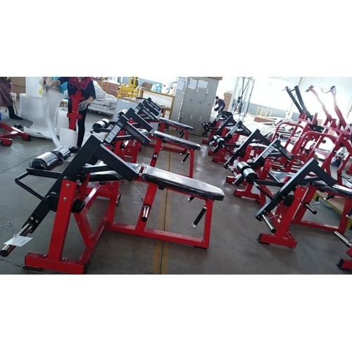 Сгибание ног лежа Insight Fitness TM18