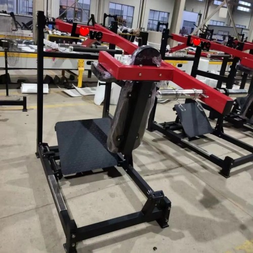 Гакк-присед маятниковый Insight Fitness DZ80C