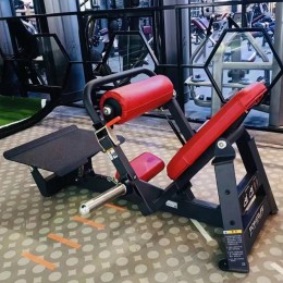 Ягодичный мостик Insight PL1015+PL10-OPT