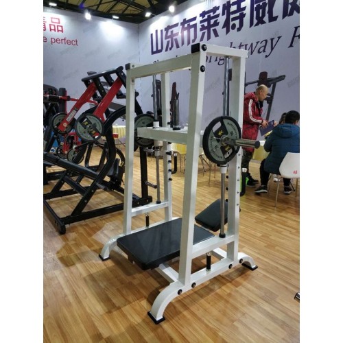 Вертикальный жим ногами (90 градусов) Insight Fitness TM39