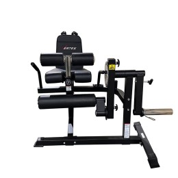 Сгибание/разгибание ног - спина - пресс Vertex FT-3036