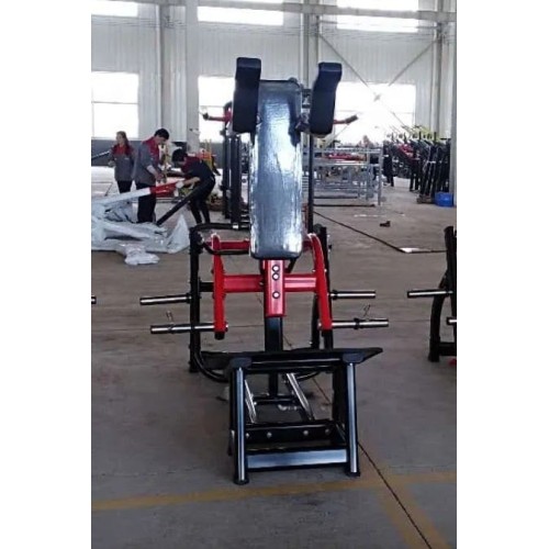 Гакк-присед Insight Fitness TN71