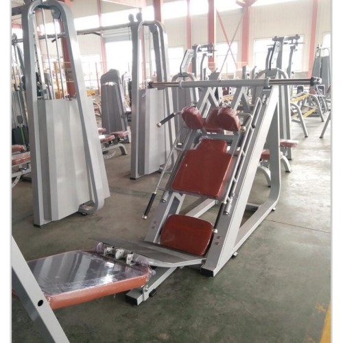 Жим ногами / Гакк присед под углом Insight Fitness TB59